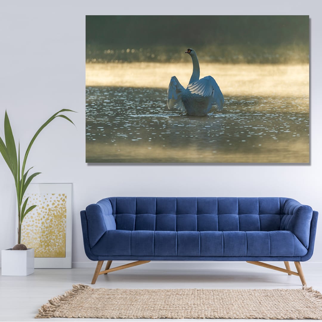 Labud 002 - Elite Print